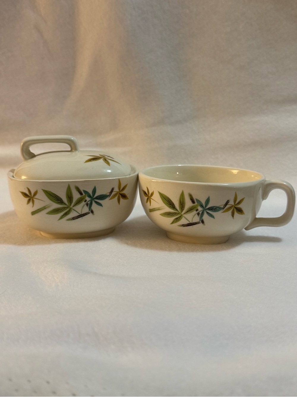 Vintage Salem China Woodhue Sugar Bowl and Teacup